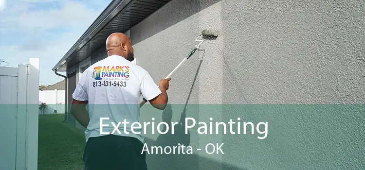 Exterior Painting Amorita - OK