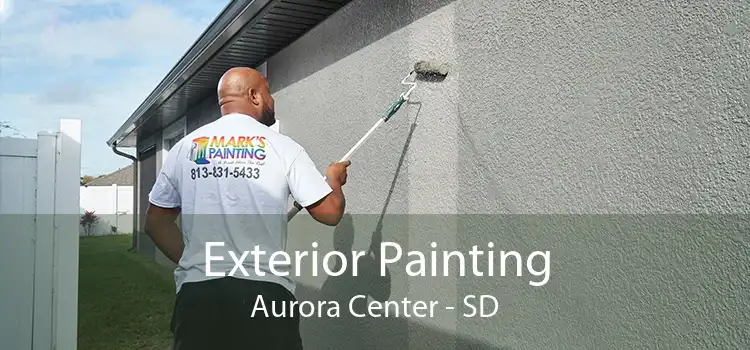 Exterior Painting Aurora Center - SD