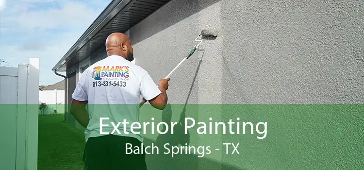 Exterior Painting Balch Springs - TX