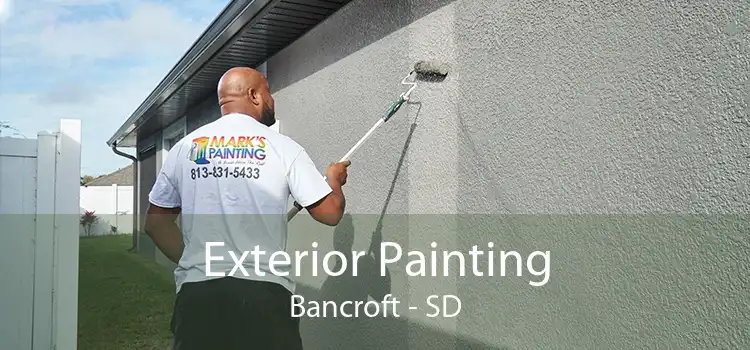 Exterior Painting Bancroft - SD