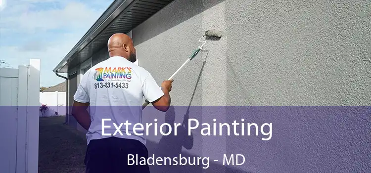 Exterior Painting Bladensburg - MD