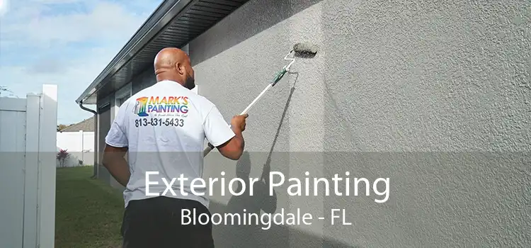 Exterior Painting Bloomingdale - FL
