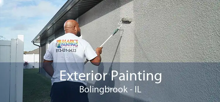 Exterior Painting Bolingbrook - IL
