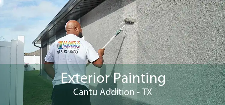 Exterior Painting Cantu Addition - TX