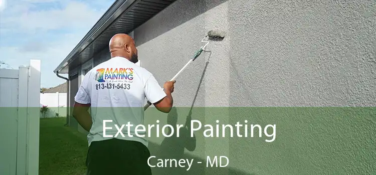 Exterior Painting Carney - MD