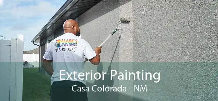 Exterior Painting Casa Colorada - NM