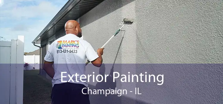 Exterior Painting Champaign - IL