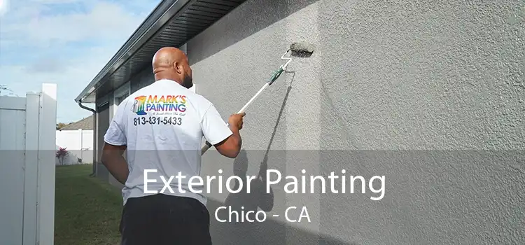 Exterior Painting Chico - CA