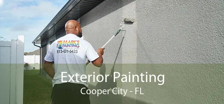Exterior Painting Cooper City - FL