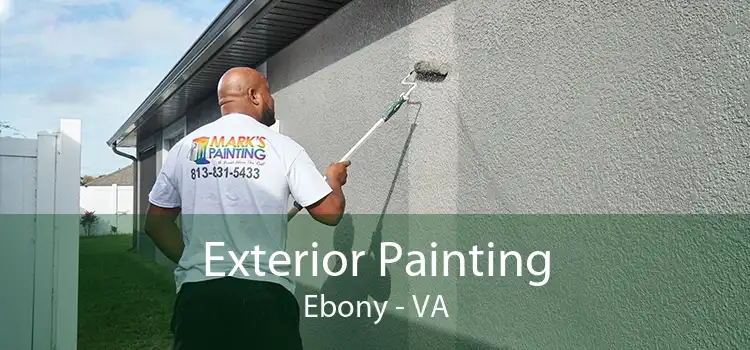 Exterior Painting Ebony - VA