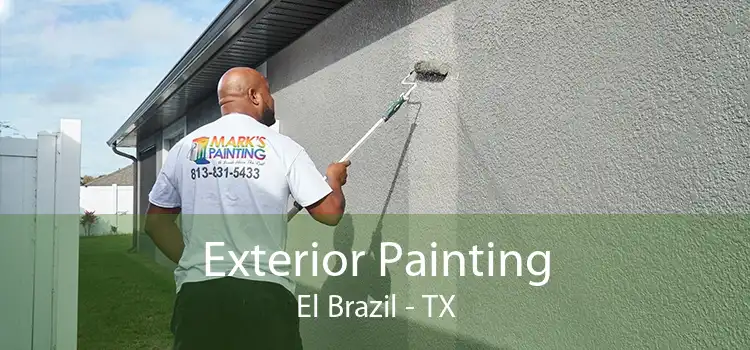 Exterior Painting El Brazil - TX