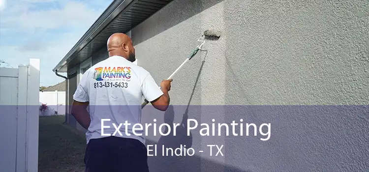 Exterior Painting El Indio - TX
