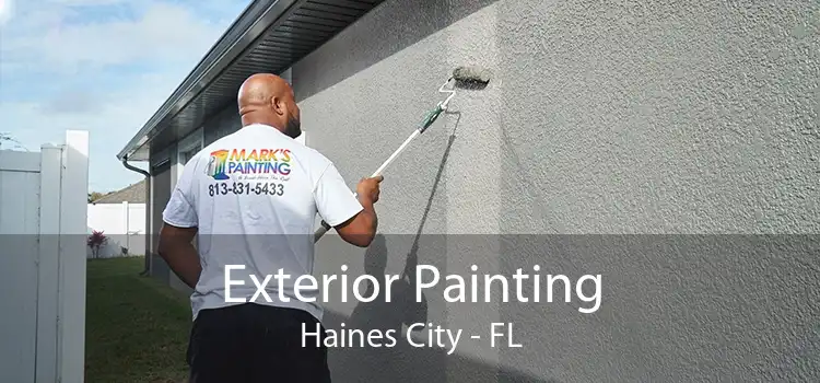 Exterior Painting Haines City - FL