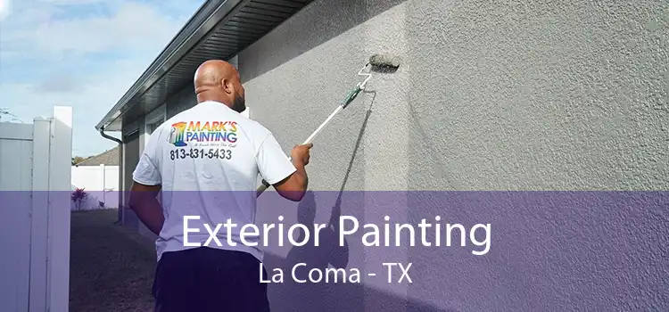 Exterior Painting La Coma - TX
