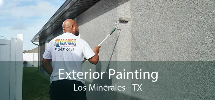 Exterior Painting Los Minerales - TX
