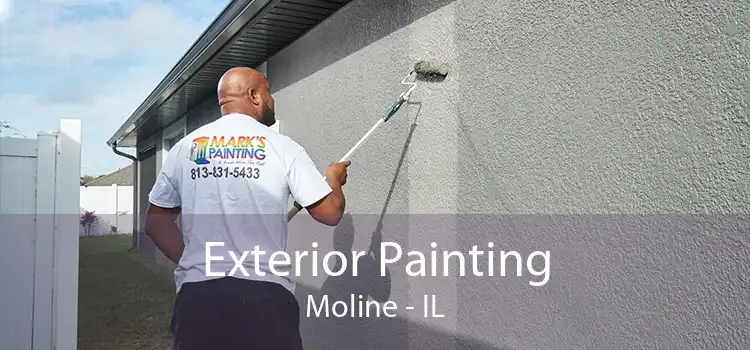 Exterior Painting Moline - IL