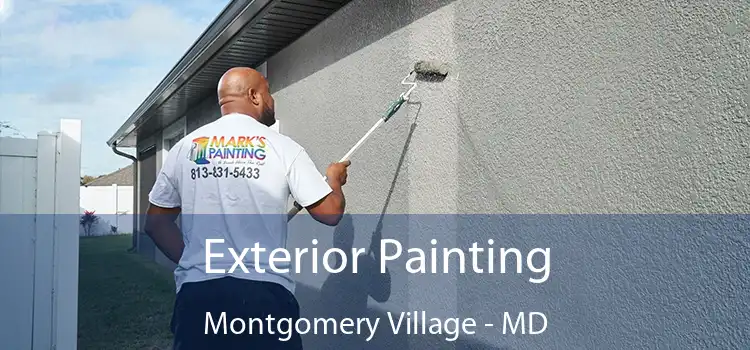 Exterior Painting Montgomery Village - MD