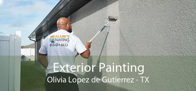 Exterior Painting Olivia Lopez de Gutierrez - TX