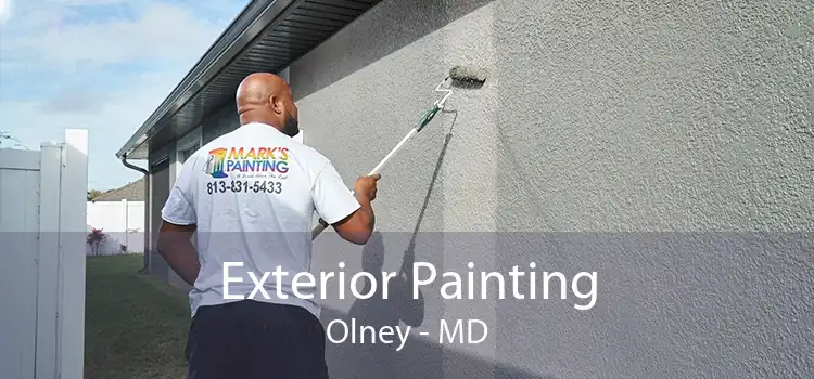 Exterior Painting Olney - MD