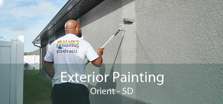 Exterior Painting Orient - SD