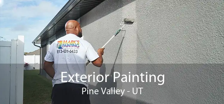 Exterior Painting Pine Valley - UT