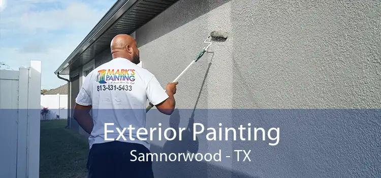 Exterior Painting Samnorwood - TX