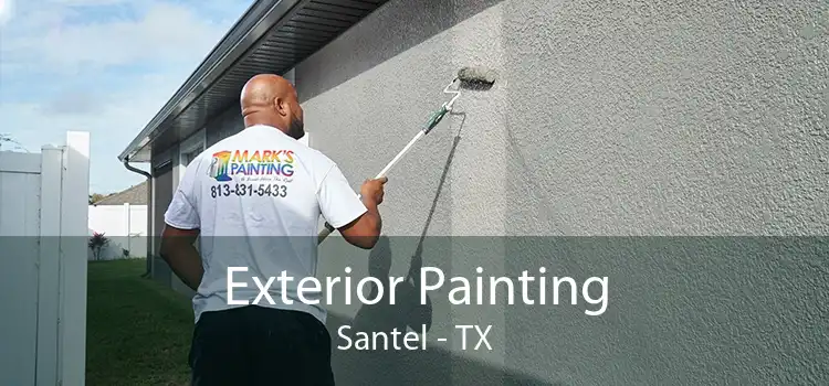 Exterior Painting Santel - TX