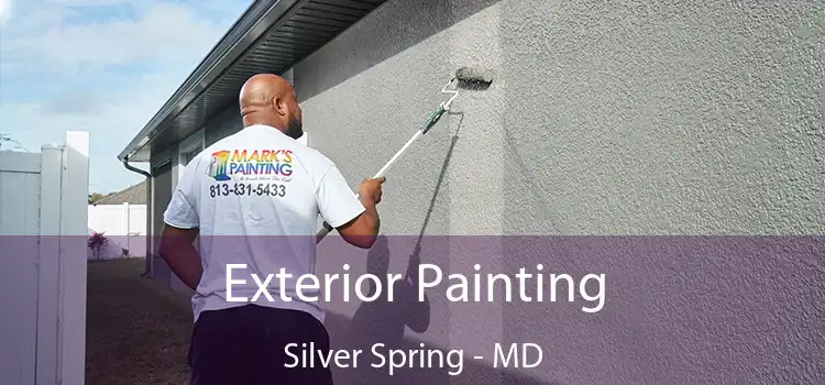 Exterior Painting Silver Spring - MD