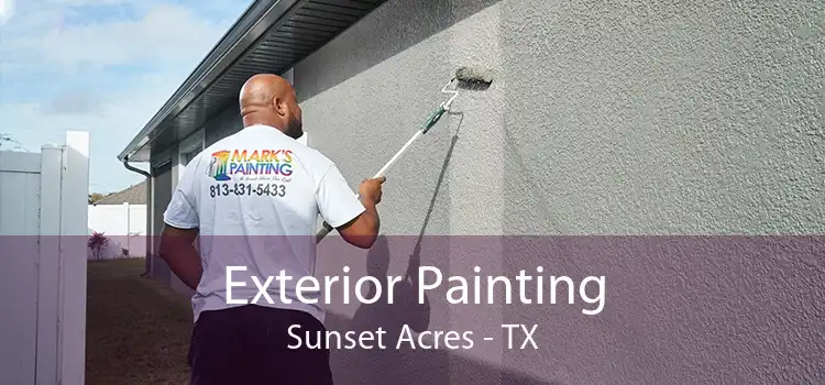 Exterior Painting Sunset Acres - TX