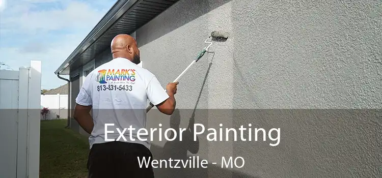  Exterior Painting Wentzville - MO