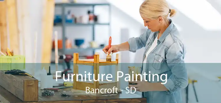 Furniture Painting Bancroft - SD