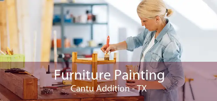 Furniture Painting Cantu Addition - TX