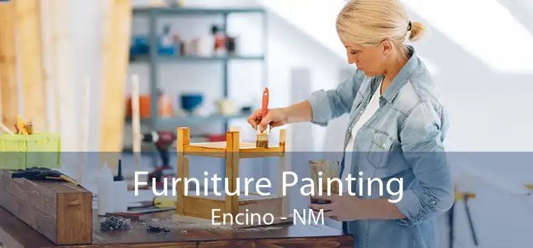 Furniture Painting Encino - NM