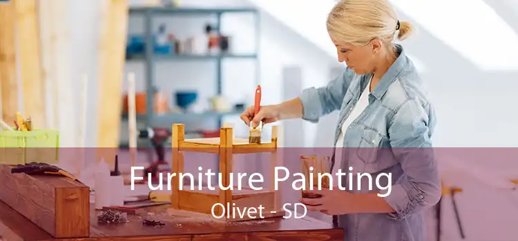 Furniture Painting Olivet - SD