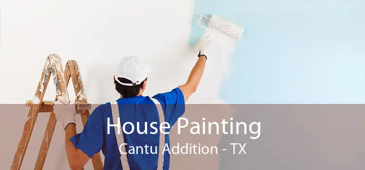 House Painting Cantu Addition - TX
