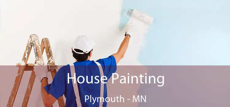  House Painting Plymouth - MN