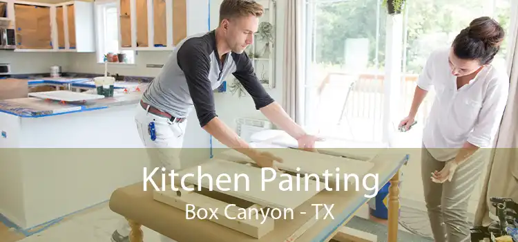 Kitchen Painting Box Canyon - TX