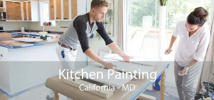 Kitchen Painting California - MD