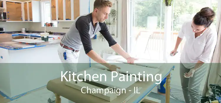 Kitchen Painting Champaign - IL