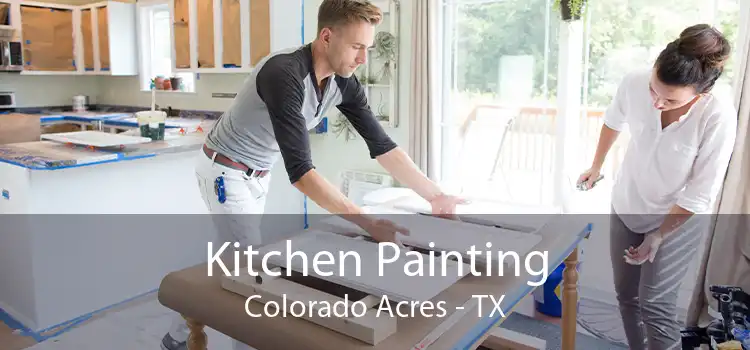 Kitchen Painting Colorado Acres - TX