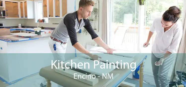 Kitchen Painting Encino - NM