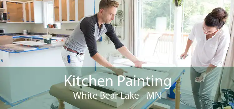 Kitchen Painting White Bear Lake - MN