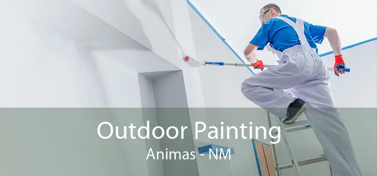 Outdoor Painting Animas - NM