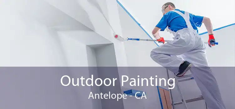 Outdoor Painting Antelope - CA