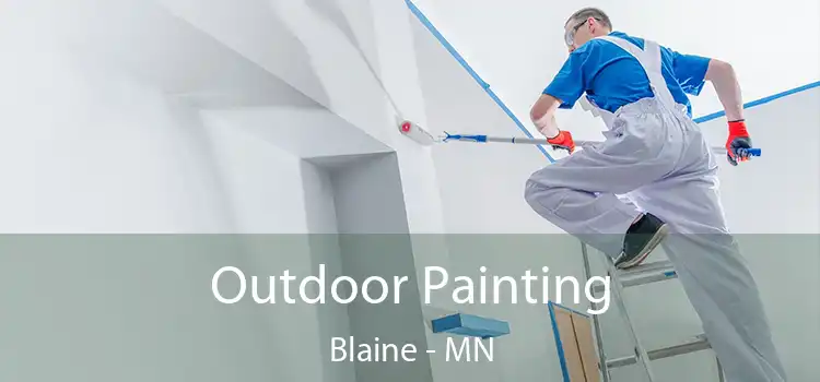  Outdoor Painting Blaine - MN