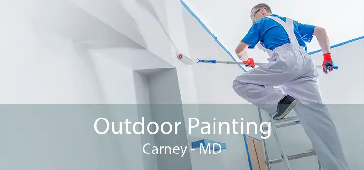 Outdoor Painting Carney - MD