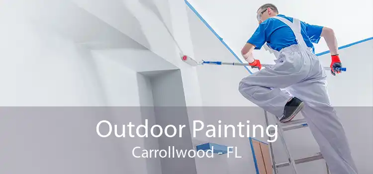 Outdoor Painting Carrollwood - FL