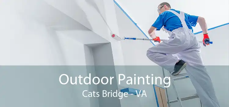 Outdoor Painting Cats Bridge - VA