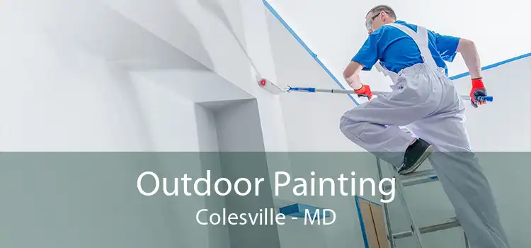 Outdoor Painting Colesville - MD