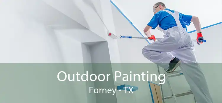 Outdoor Painting Forney - TX